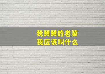 我舅舅的老婆 我应该叫什么